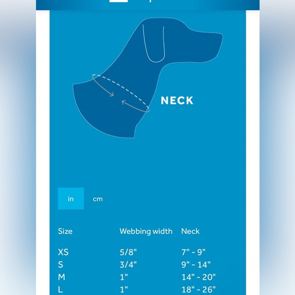 RC Pets Pineapple Pattern Size Small Dog Collar and Leash Set - Picture 2 of 3